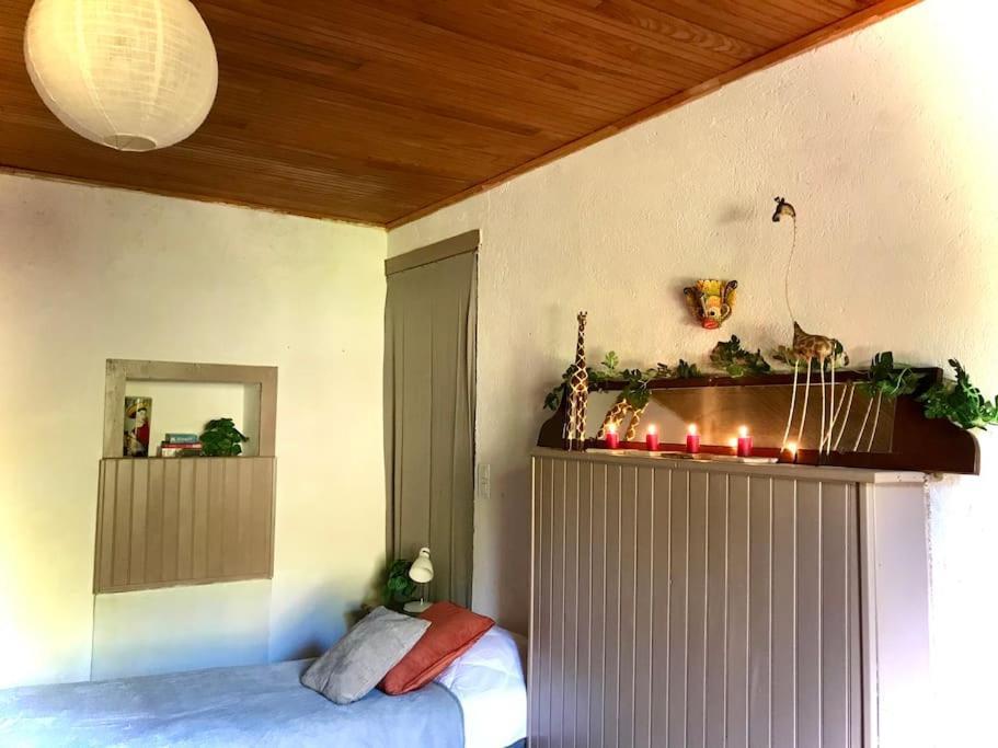 Maison Des Sequoias - Parc 1 Hectare- Veyrac Ngoại thất bức ảnh