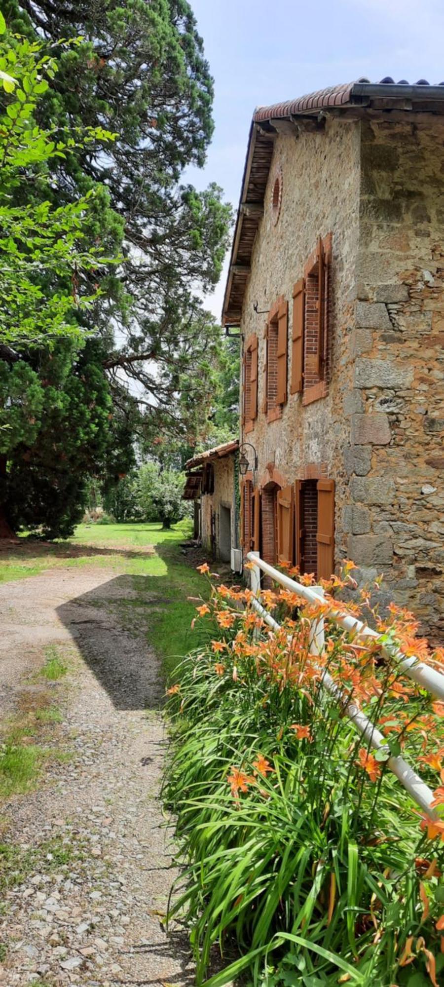 Maison Des Sequoias - Parc 1 Hectare- Veyrac Ngoại thất bức ảnh